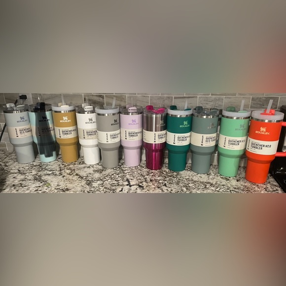 Taylor Swift Stanley Tumbler cup Rose Quartz 40 oz NEW laser engraved pick color - Picture 6 of 15